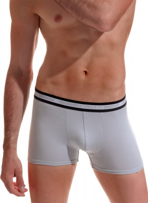 Боксеры Jolidon N202MM/1 (L, Grey)