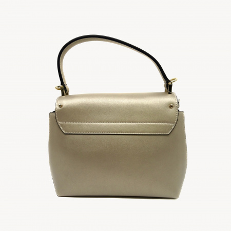 Сумка C.SALVATELLI  А-355 н.кожа (платиновый)