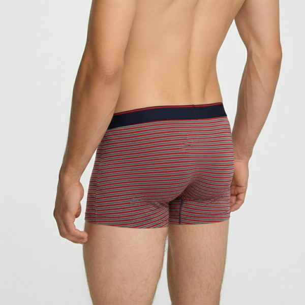 Боксеры Navigare 494 (L, Rigato)